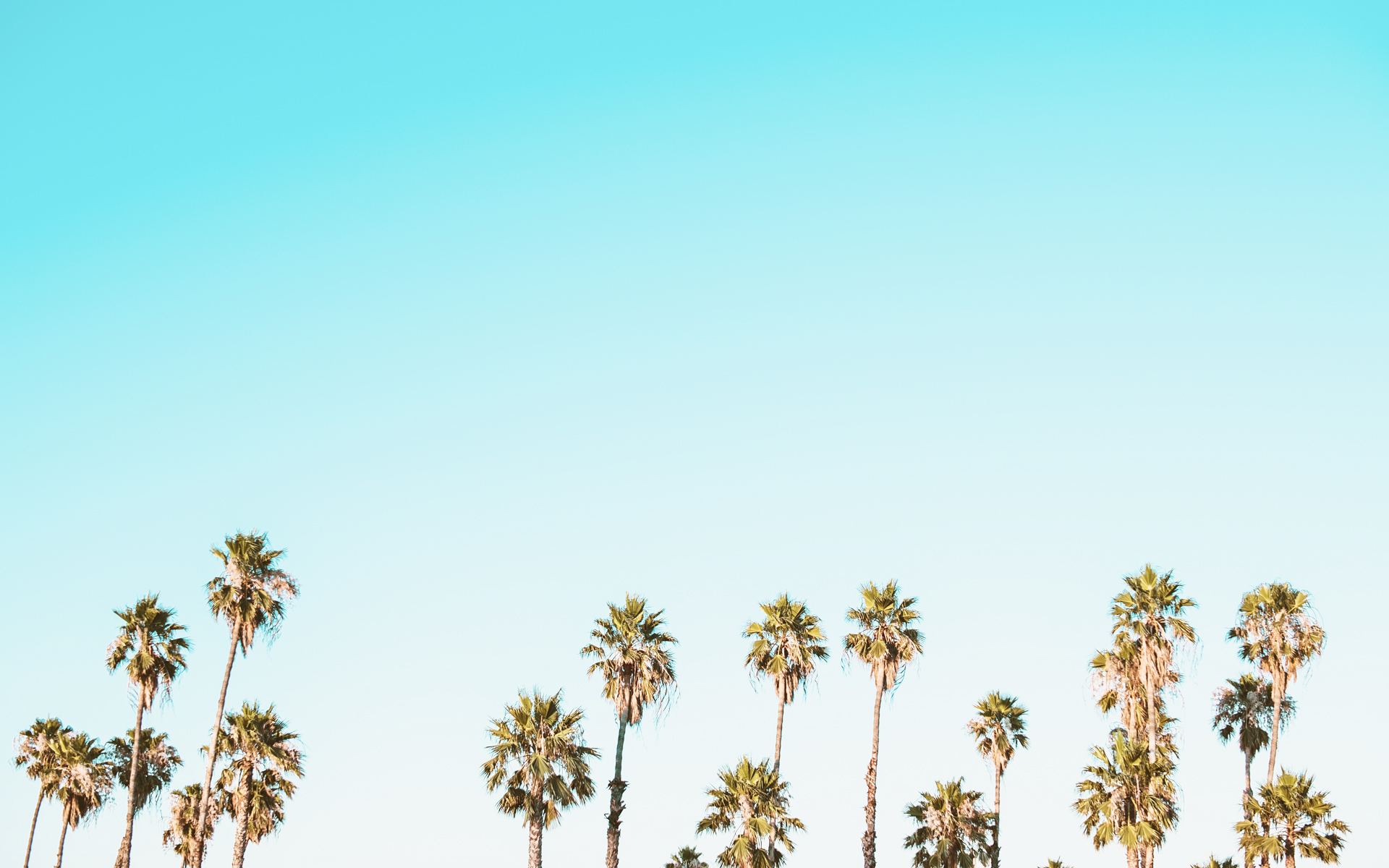 Vitamin D significantly reduces acne symptoms